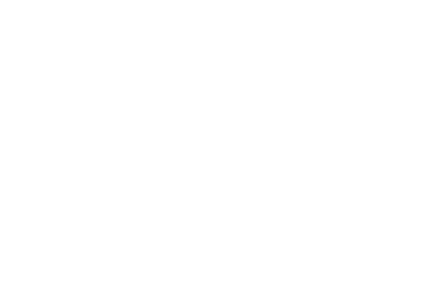 Dig and Dump Logo White